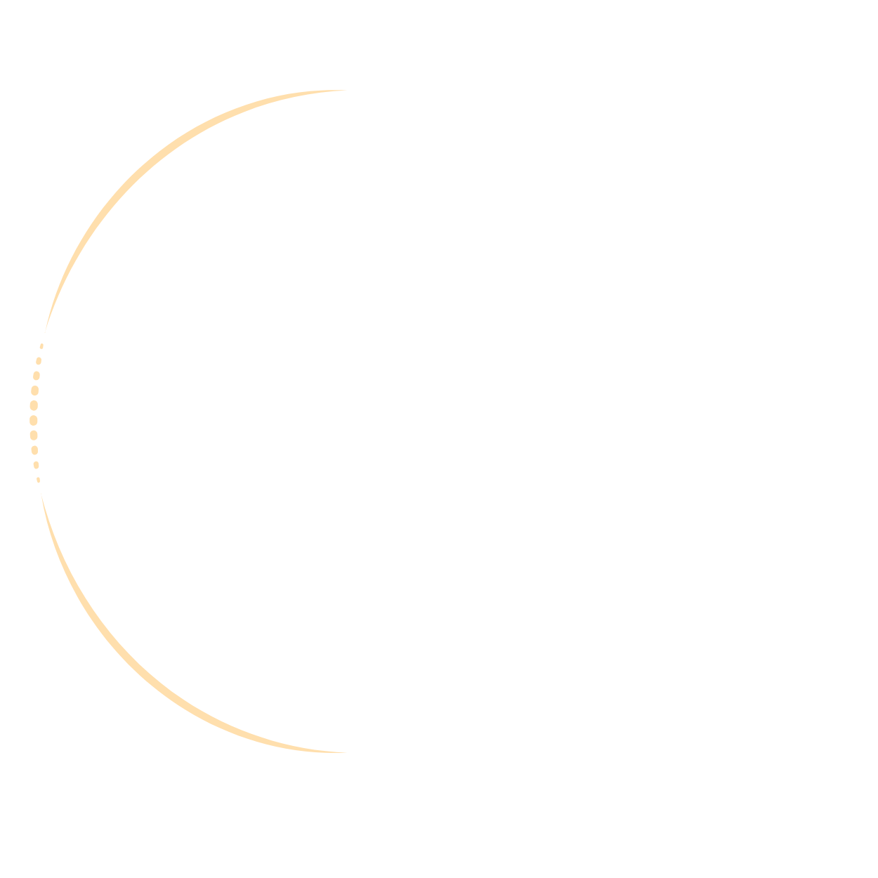 Logo Digitale Futuro - Consulenza Digitale Italia